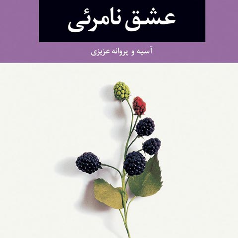 معرفی کتاب عشق نامرئی